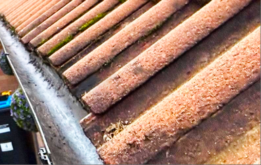 Gutter-And-Fascia-Cleaning.