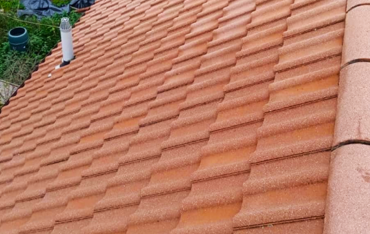 Roof Cleaning